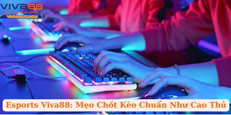 Esports Viva88: Mẹo Chốt Kèo Chuẩn Như Cao Thủ
