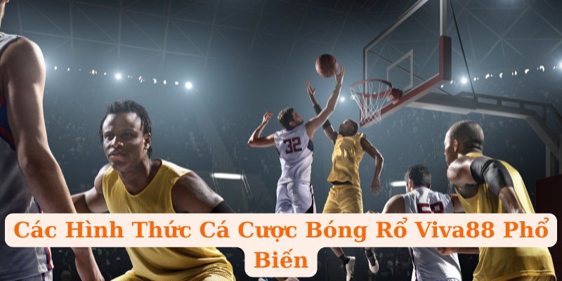 Các Hình Thức Cá Cược Bóng Rổ Viva88 Phổ Biến