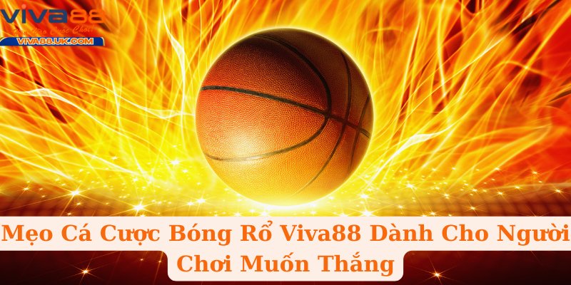 Mẹo Cá Cược Bóng Rổ Viva88 Dành Cho Người Chơi Muốn Thắng