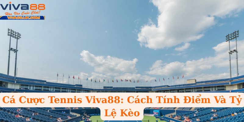 Cá Cược Tennis Viva88: Cách Tính Điểm Và Tỷ Lệ Kèo