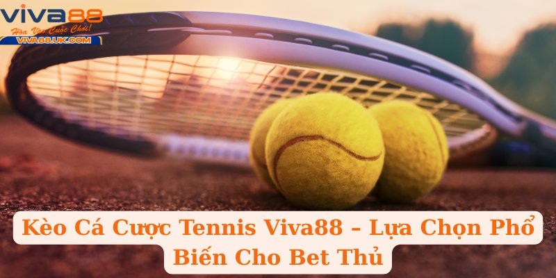 Kèo Cá Cược Tennis Viva88 – Lựa Chọn Phổ Biến Cho Bet Thủ
