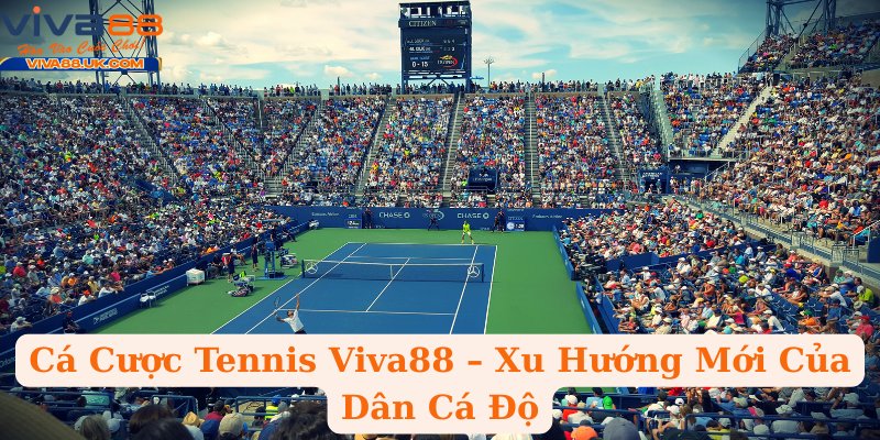 Cá Cược Tennis Viva88 – Xu Hướng Mới Của Dân Cá Độ