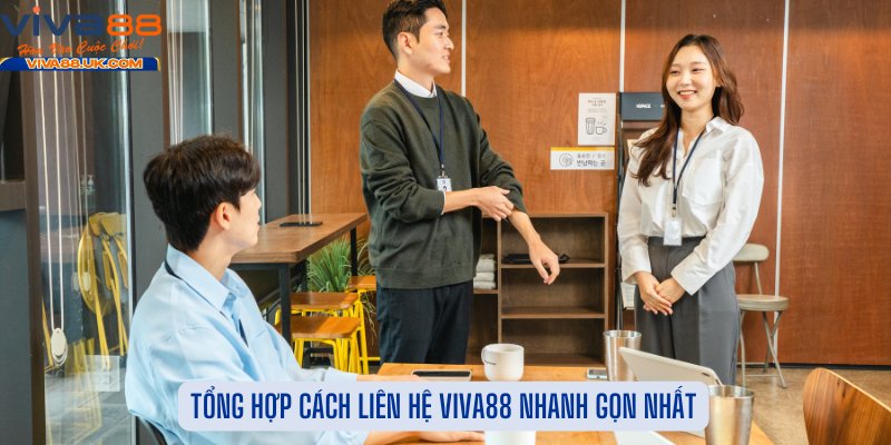 Tổng Hợp Cách Liên Hệ Viva88 Nhanh Gọn Nhất