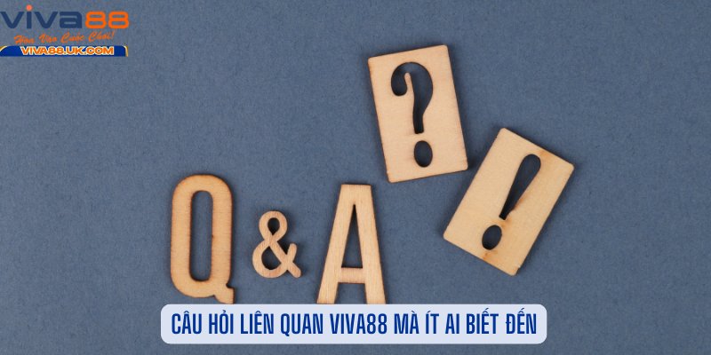 Câu Hỏi Liên Quan Viva88 Mà Ít Ai Biết Đến