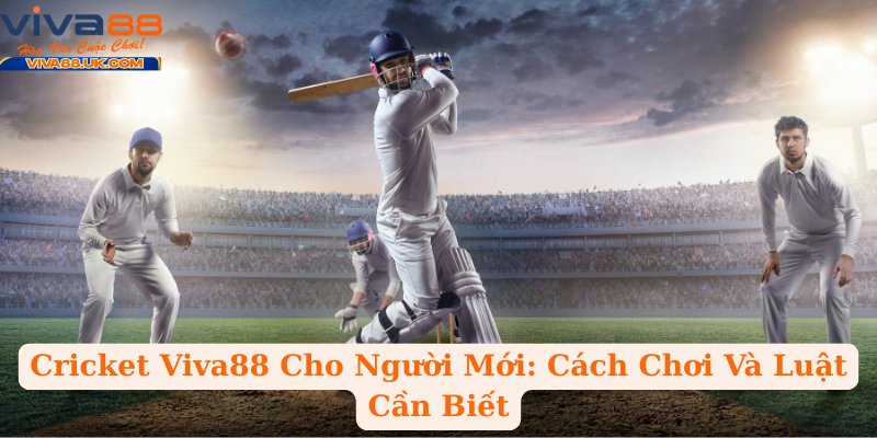 Cricket Viva88 Cho Người Mới: Cách Chơi Và Luật Cần Biết