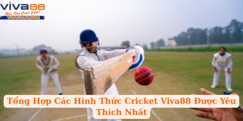 Tổng Hợp Các Hình Thức Cricket Viva88 Được Yêu Thích Nhất