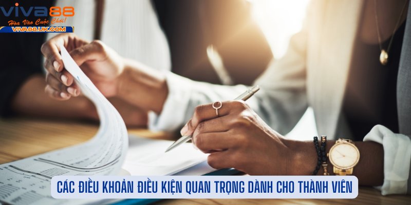 Các Điều Khoản Điều Kiện Quan Trọng Dành Cho Thành Viên