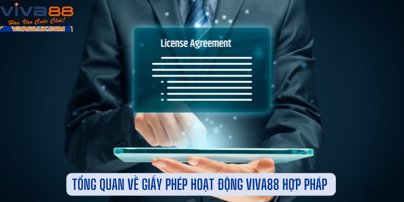 Tổng Quan Về Giấy Phép Hoạt Động Viva88 Hợp Pháp