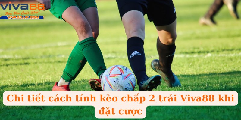 Chi tiết cách tính kèo chấp 2 trái Viva88 khi đặt cược