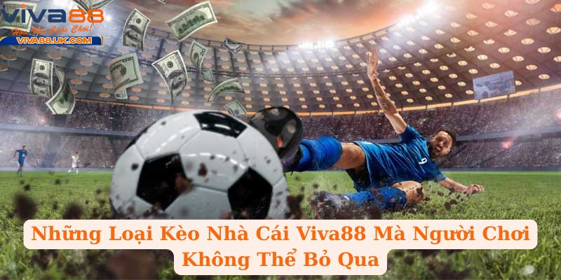 Những Loại Kèo Nhà Cái Viva88 Mà Người Chơi Không Thể Bỏ Qua