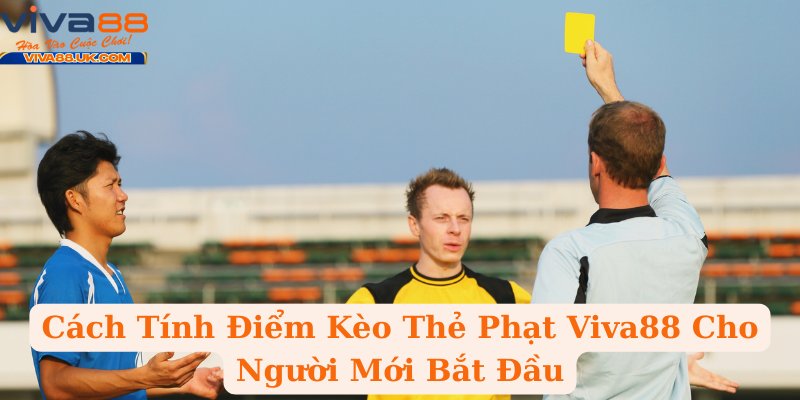 Cách Tính Điểm Kèo Thẻ Phạt Viva88 Cho Người Mới Bắt Đầu