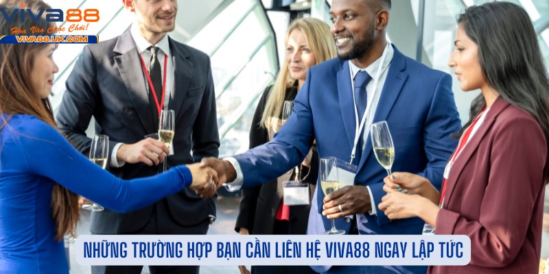 Những Trường Hợp Bạn Cần Liên Hệ Viva88 Ngay Lập Tức