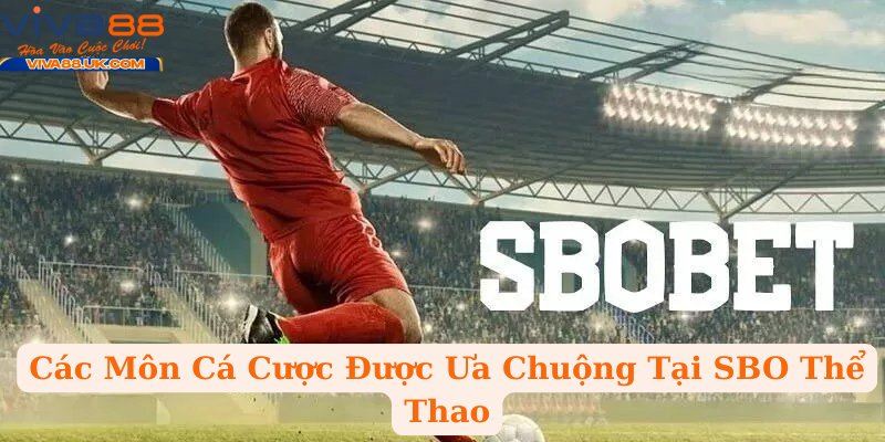 Các Môn Cá Cược Được Ưa Chuộng Tại SBO Thể Thao