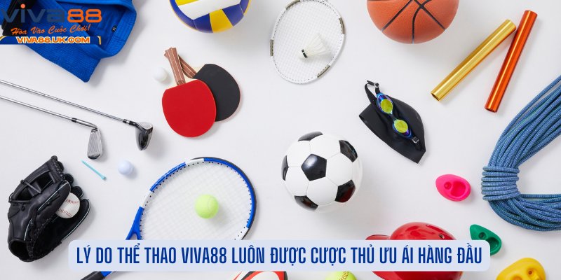 Lý Do Thể Thao Viva88 Luôn Được Cược Thủ Ưu Ái Hàng Đầu