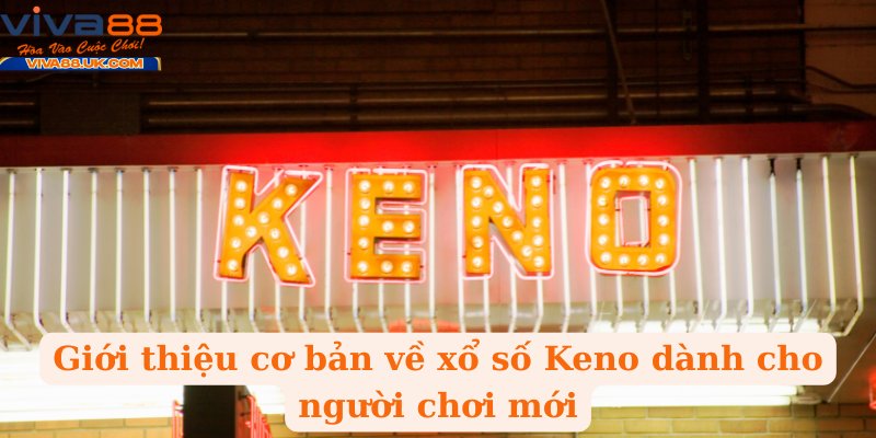 Giới thiệu cơ bản về xổ số Keno dành cho người chơi mới