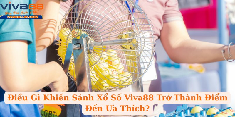 Điều Gì Khiến Sảnh Xổ Số Viva88 Trở Thành Điểm Đến Ưa Thích?